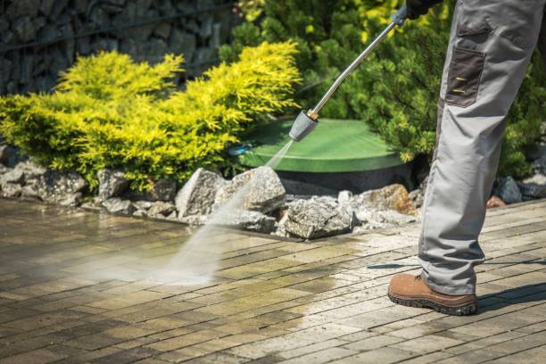 Best Gutter Cleaning  in New Providence, NJ